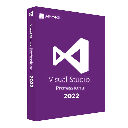 Visual studio 2022 professional