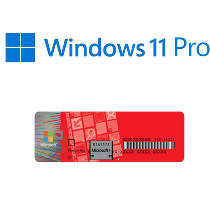 Windows 11 Pro sticker